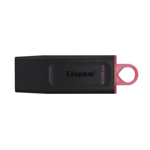 Kingston USB 256 Gb Datatraveler Exodia